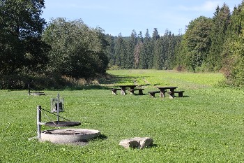 Grillstelle mit Tischen und Bänken auf einer Waldlichtung